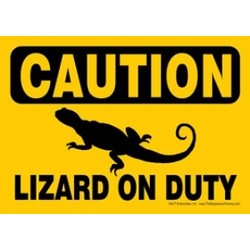 Express Yourself Signs - CAUTION - Lizard on duty (4/case)